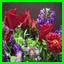 http://img67.xooimage.com/files/3/8/2/images1-28e0193.jpeg
