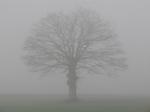 http://img67.xooimage.com/files/a/7/1/brouillard-2e0a66a.jpg