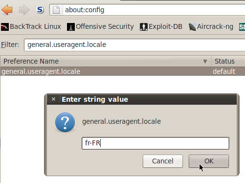 mettre Backtrack 5 KDE en français Fire-2d3f101