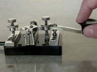 Cinemagraph 1