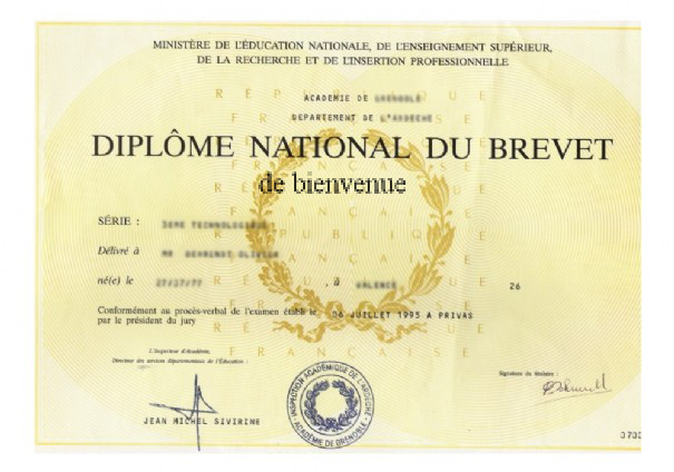 diplome-du-brevet...onal_389-2a55329.png