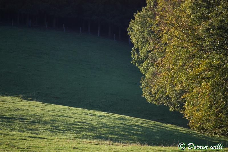 promenade sur les fagnes et alentours ( jalhay ) le 16-oct-2011 Dpp_jalhay---16-o...1---0046-2dd7216